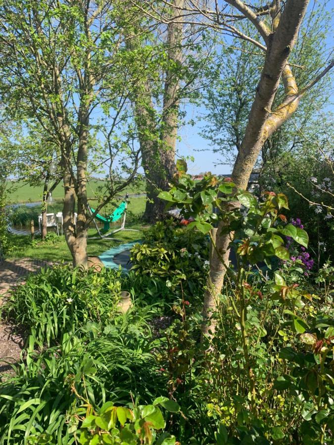 Very Nice Cottage In Durgerdam, With Private Garden, Free Parking, Pets Allowed Άμστερνταμ Εξωτερικό φωτογραφία